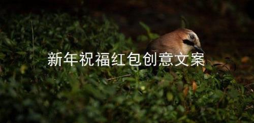 公司红包文案短句干净