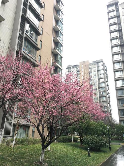 阡陌多暖春的出处