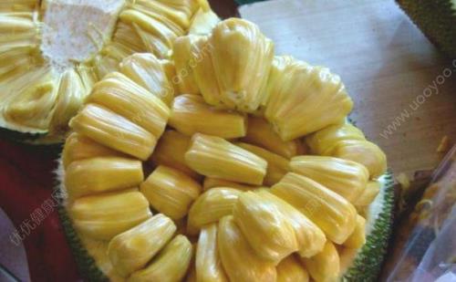 菠萝蜜是什么季节的