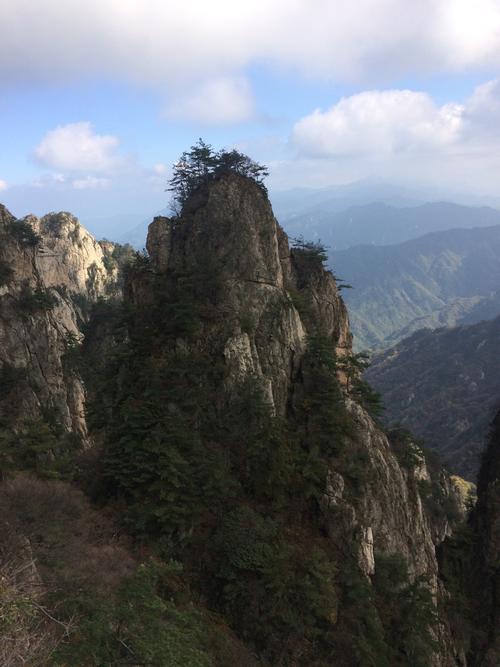 栾川海拔多少米