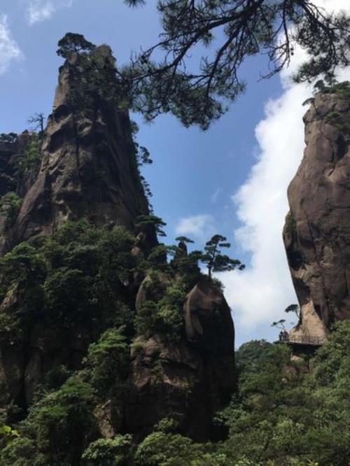 三清山65周岁门票