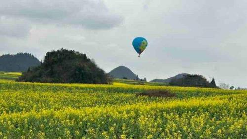 罗平花海音乐节门票哪里买