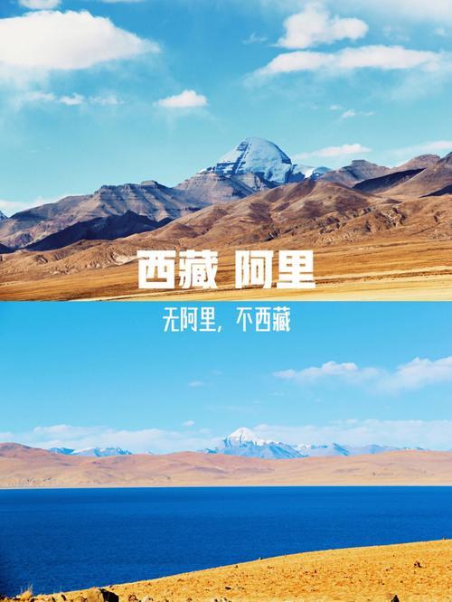 西藏阿里在什么位置