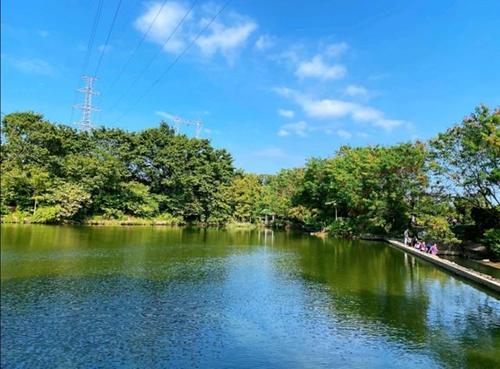 深圳旅游必去十大景点