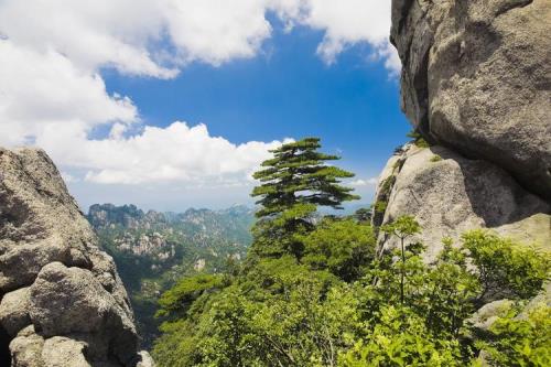 黄山风景区，位于黄山的黄山区吗