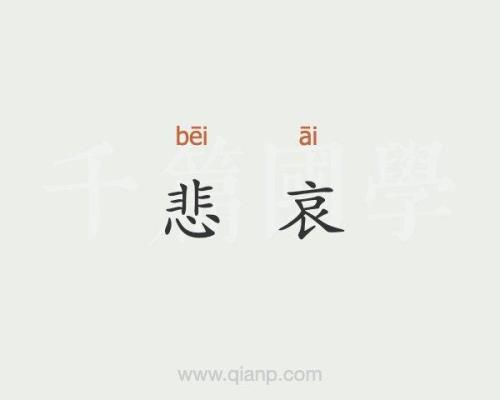 悲哀的近义词