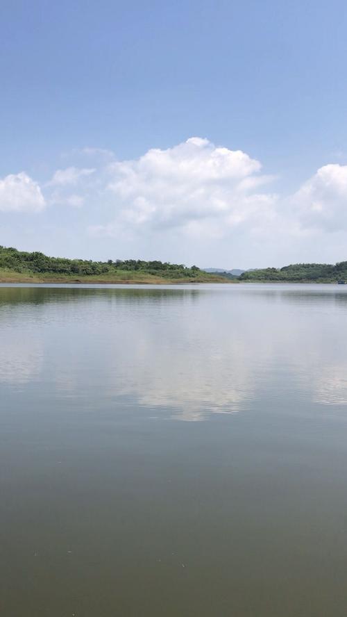 长寿钓鱼最佳地点