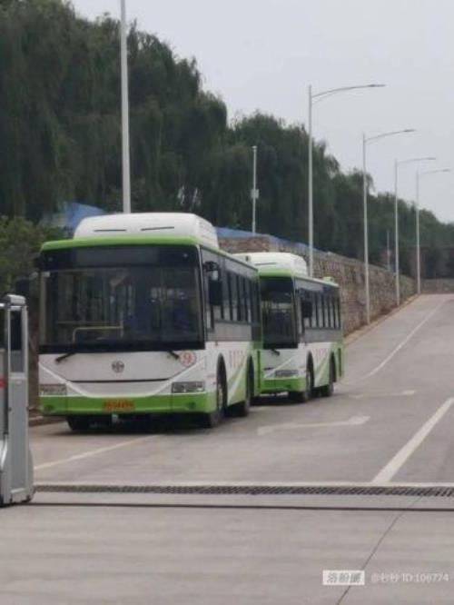 商丘91路公交停运了吗