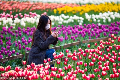 中山附近看花的地方