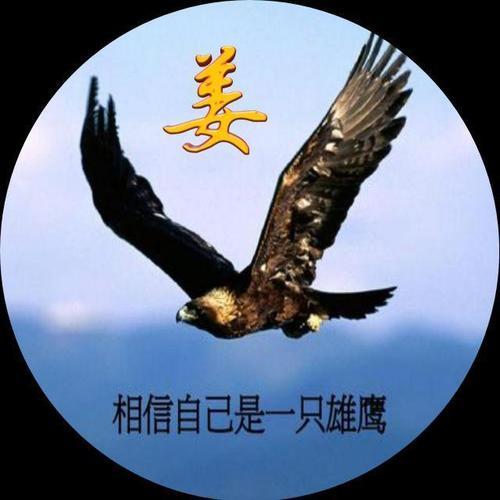 我愿做一只翱翔的鹰什么意思