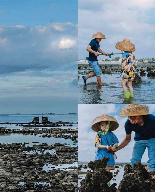 海口赶海捡海货攻略
