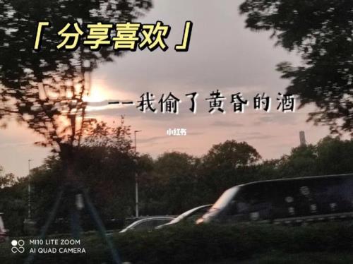 我偷了黄昏的酒表达什么情感