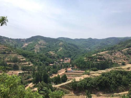 临朐在什么地方