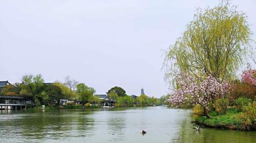烟花三月下扬州去哪里看