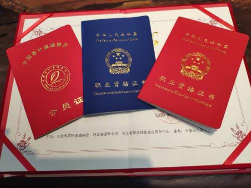 高级探险家资格证能用代币券吗