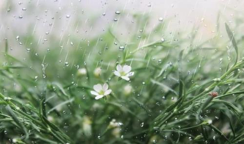 一夜春雨读音