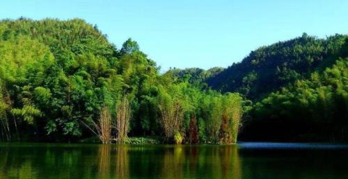 去蜀南竹海住哪里最好