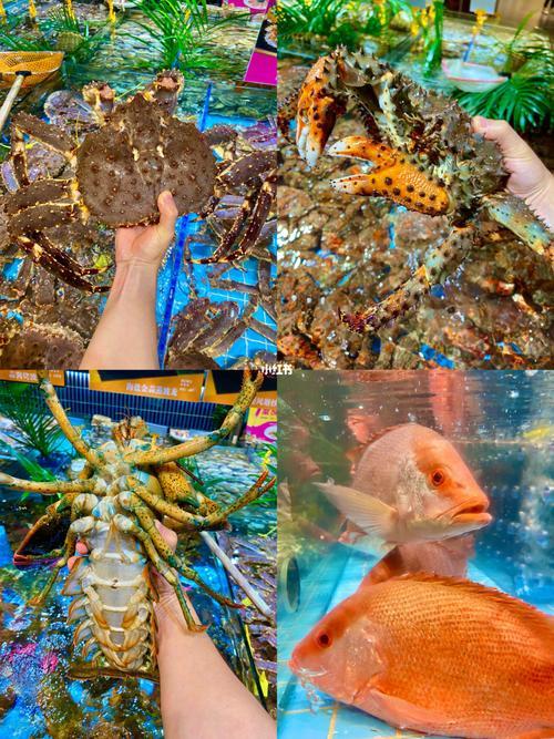 深圳哪里吃海鲜便宜好吃