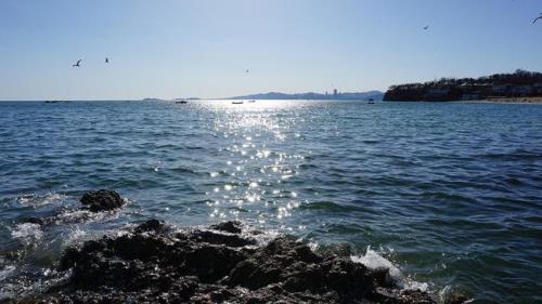 大连有一个可以看海的地铁站