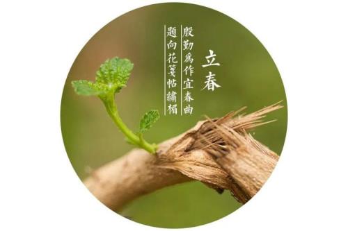 立春到了祝福语顺口溜