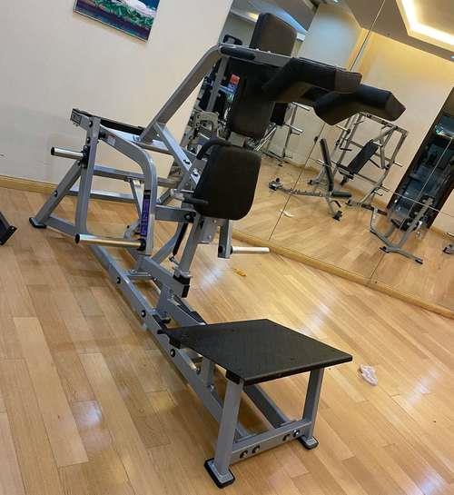 鲨鱼蹲优势