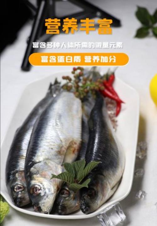 杀掉的青鱼如何保存最新鲜