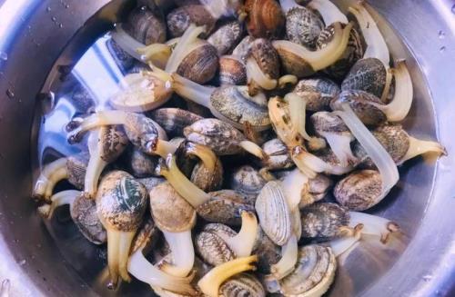 干蛤蜊肉怎么洗
