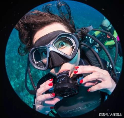 潜泳与游泳的区别