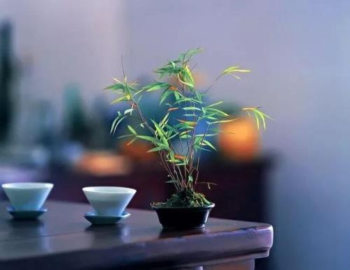 淡看人间三千事的意思