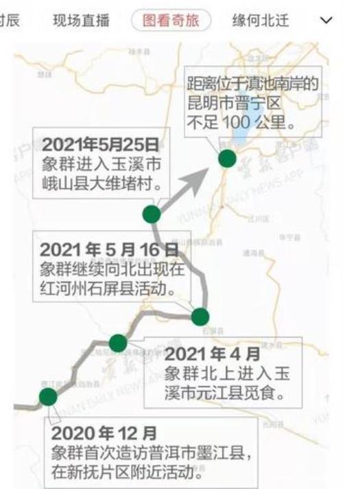 西双版纳到芒市多远