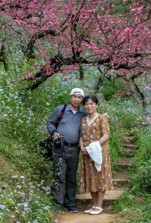 从化吕田鹰嘴桃花最佳观赏时间
