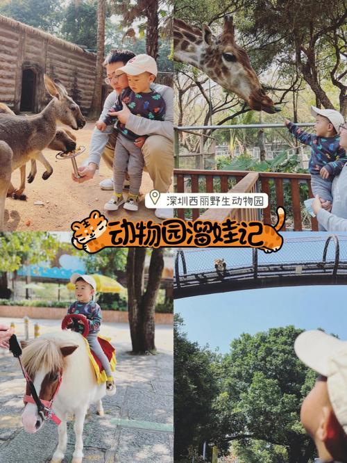 深圳野生动物园怎么预约