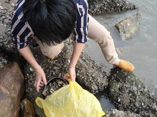 瑞安赶海最佳时间地点