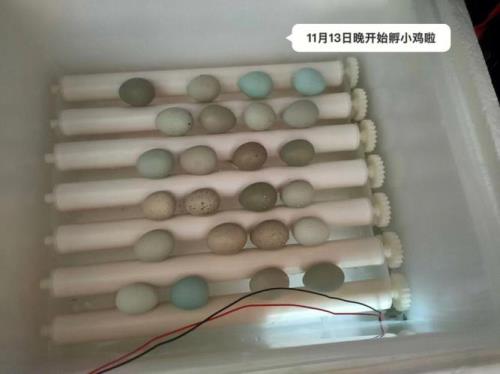 泡沫箱为什么有股尿味