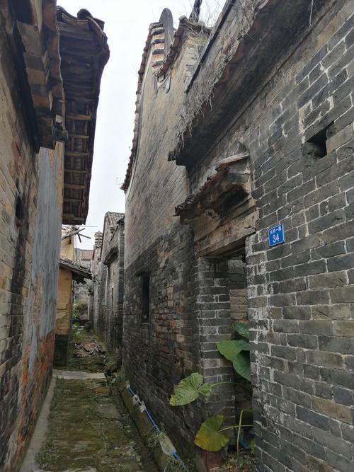 增城莲塘村景点介绍