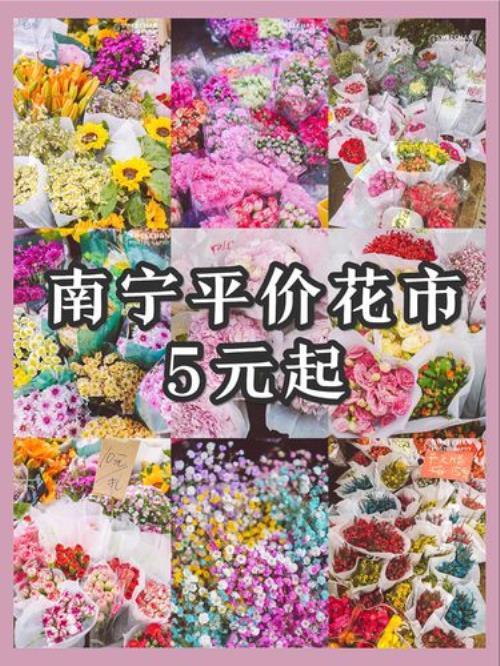 南宁有哪些花市