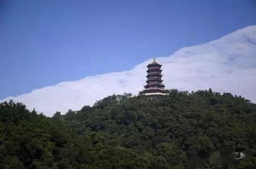 330325是哪里的身份证