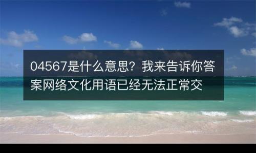 1还是0什么意思网络用语
