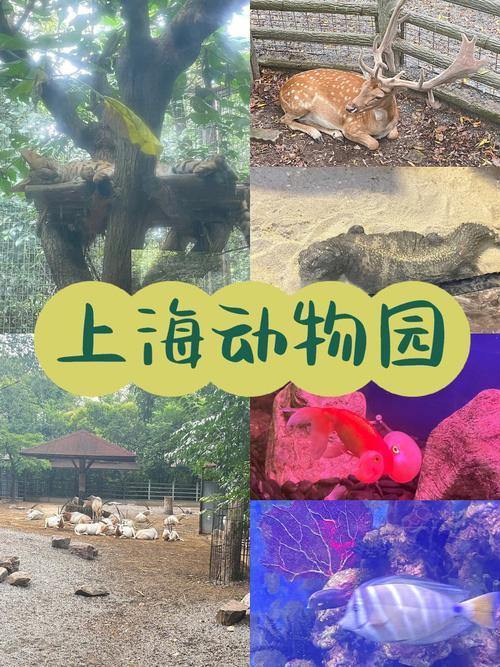 上海动物园乘地铁怎么走