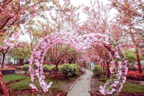 曲江樱花谷生态园门票