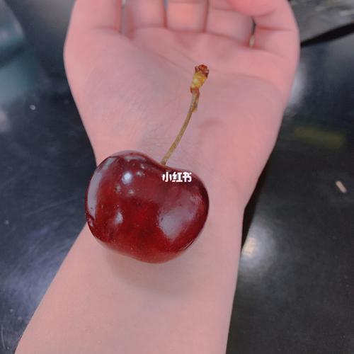车厘子自由是哪一年的梗