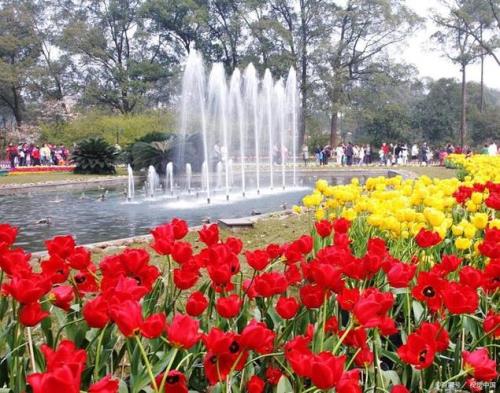 重庆春季踏青好去处