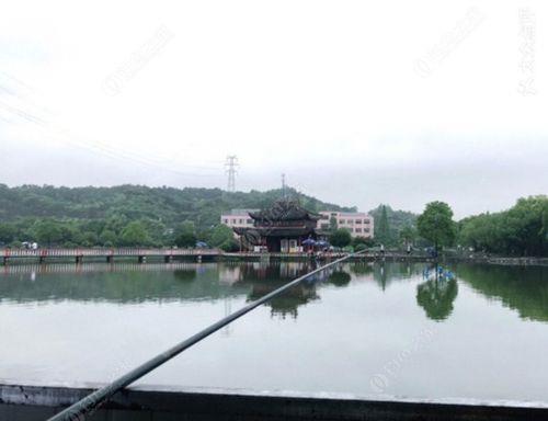 苏州工业园区钓鱼野钓的好地方