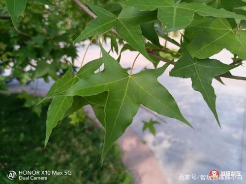 4800像素和800像素区别