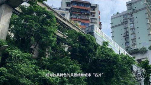 重庆适合情侣去玩的地方有哪些