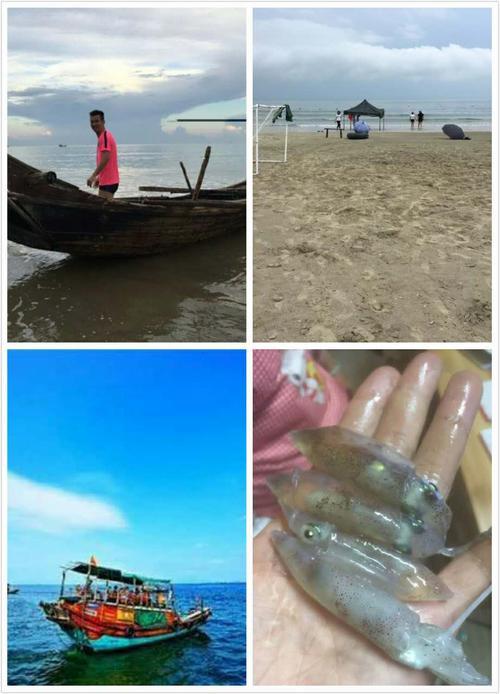 出海抽鱿鱼最佳时间