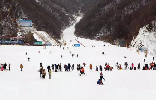 山东最好的滑雪场攻略