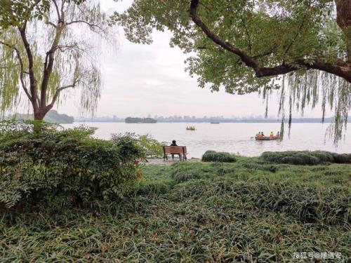 白堤和苏堤的特点