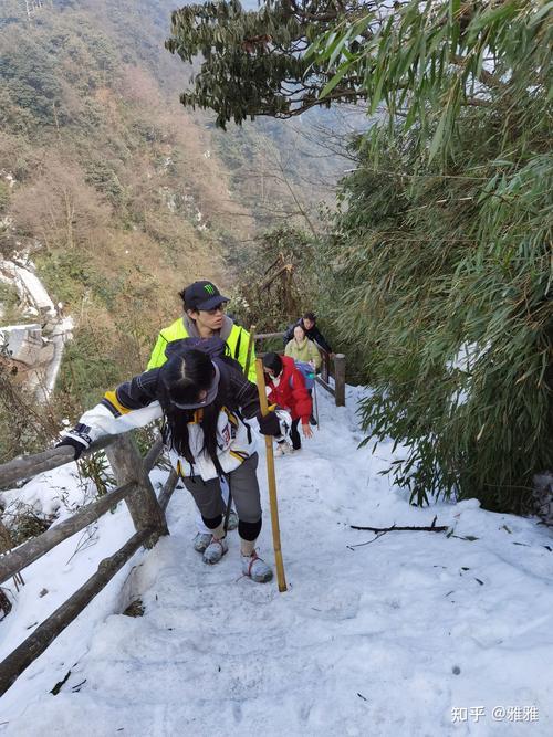 峨眉山冰爪怎么卖的
