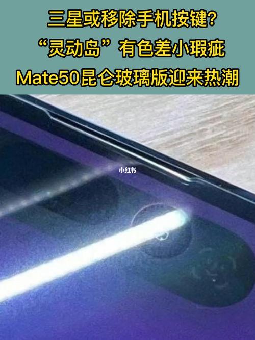 灵动岛有红外镜头吗